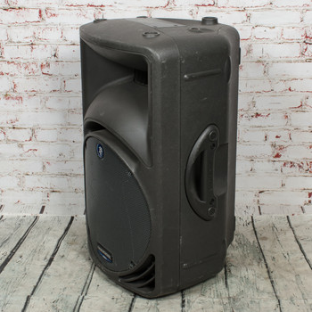 Mackie C300 Passive PA Speaker x5551 (USED)