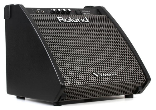 Roland PM-200 Monitor Speaker