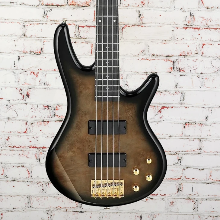 Ibanez - Gio GSR205PC - 5-String Bass Guitar - Transparent Pale Black Burst