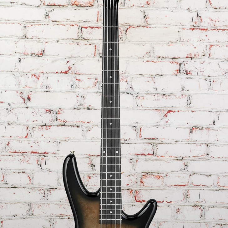 Ibanez - Gio GSR205PC - 5-String Bass Guitar - Transparent Pale Black Burst