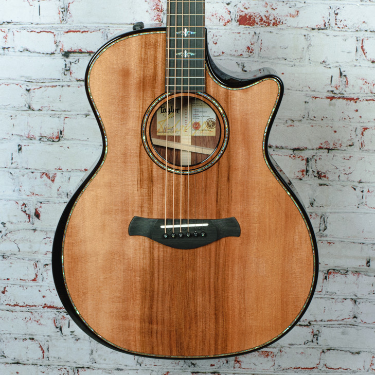 Taylor - Builder's Edition 914ce - Acoustic-Electric Guitar - Honduran Rosewood/Sinker Redwood - w/ Hardshell Case - x5012