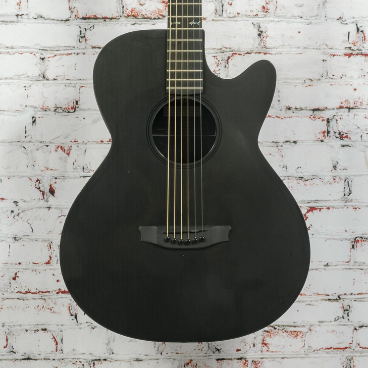 Rain Song CH-WS1000NS Carbon Fiber Acoustic Guitar w/HSC USED