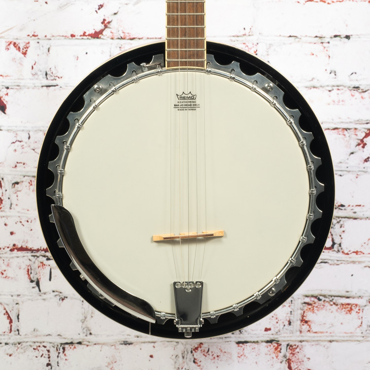 Washburn B9 5 String Closed Back Banjo with Bag USED