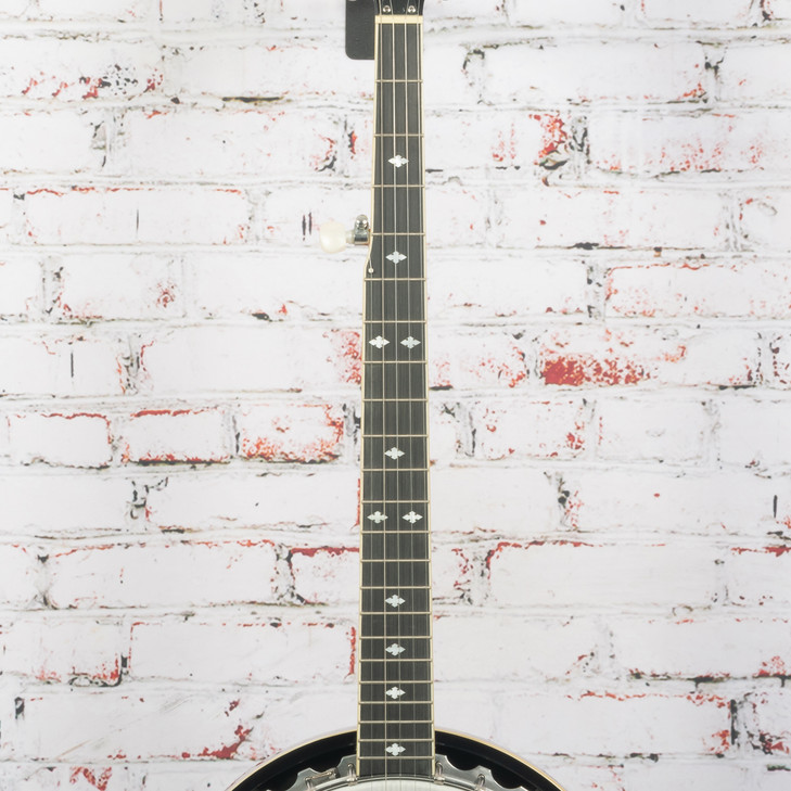 Danville - 5 String Closed Back Banjo - Natural - USED