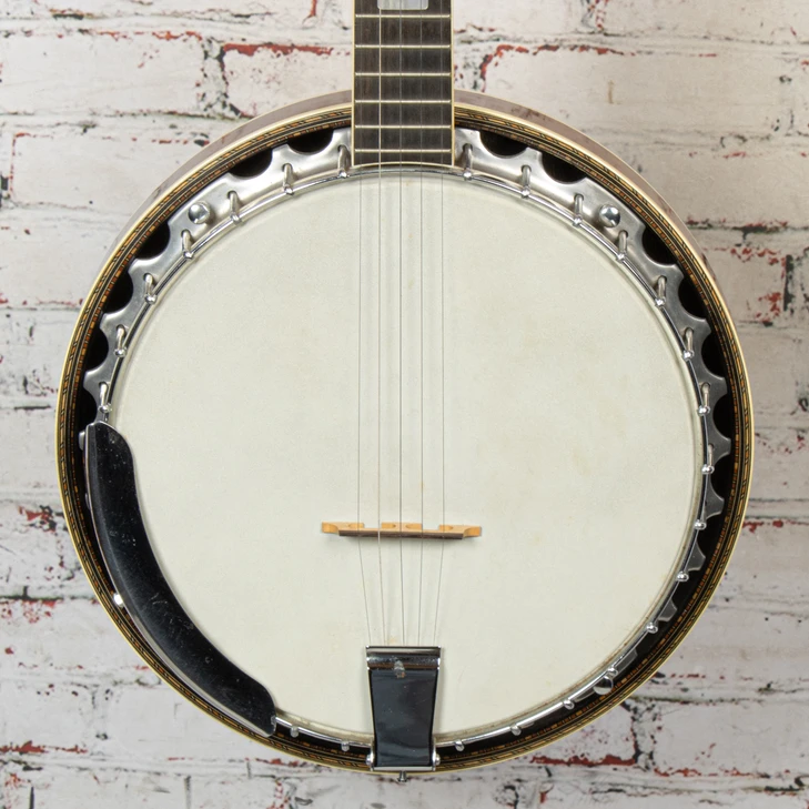 Aria - 1970s-80s MIJ 5-String Banjo - w/HSC - VINTAGE
