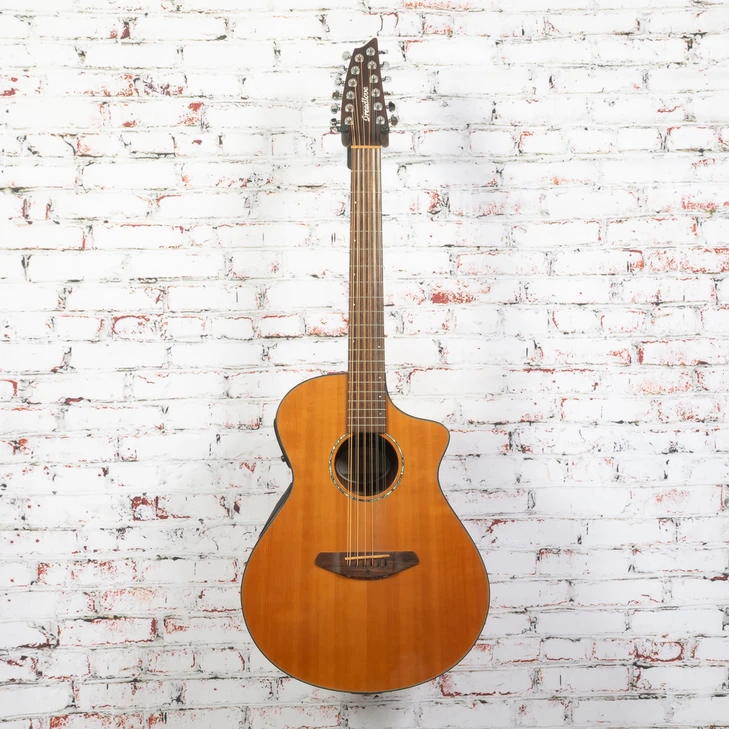 Breedlove - Solo 12-String Acoustic Guitar Natural w/OHSC - USED