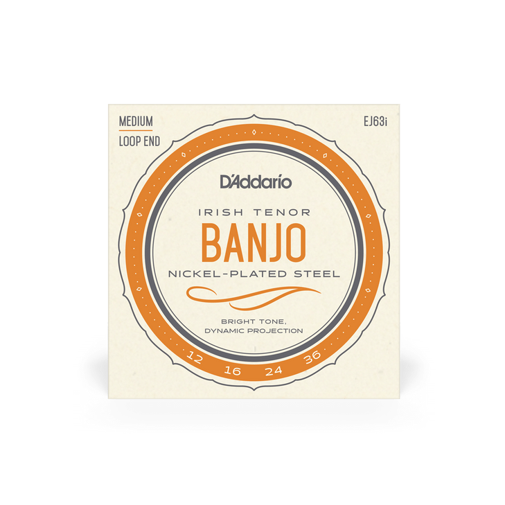 EJ63i Irish Tenor Banjo, Nickel, 12-36