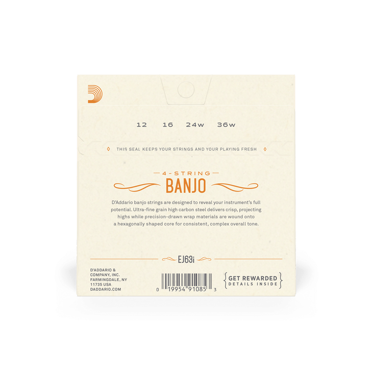 EJ63i Irish Tenor Banjo, Nickel, 12-36