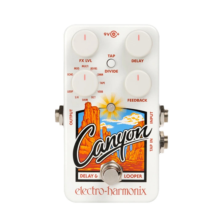 Electro Harmonix Canyon Delay and Looper Effect Pedal