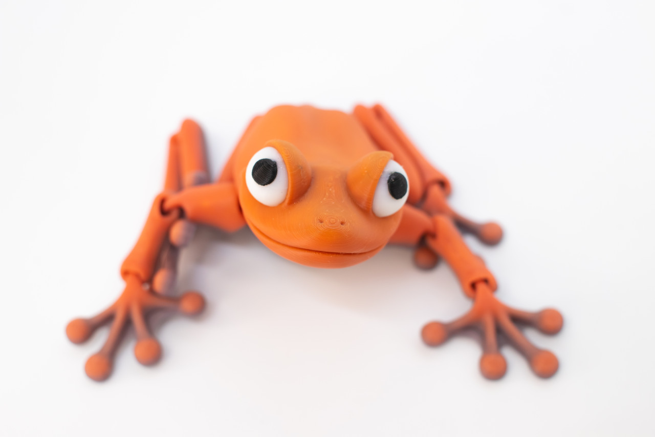 Frog Articulated Fidget Toy - Flexi Frog - Desktop Decoration - De