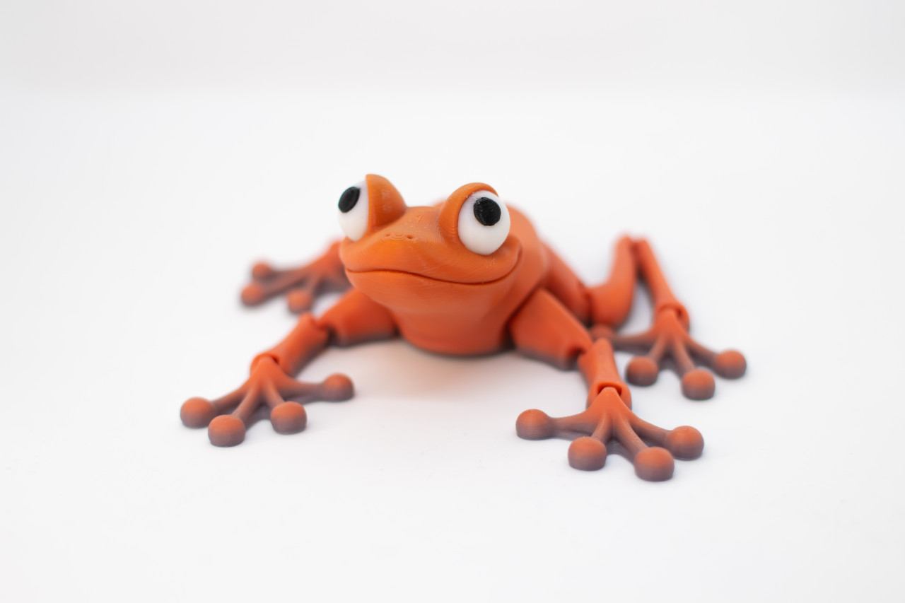 Frog Articulated Fidget Toy - Flexi Frog - Desktop Decoration - De