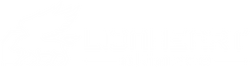 LionHeart Alliance