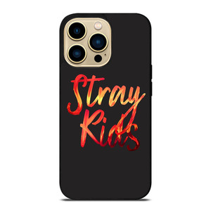 STRAY KIDS BOY BAND TYPE iPhone 14 Pro Max Case Cover