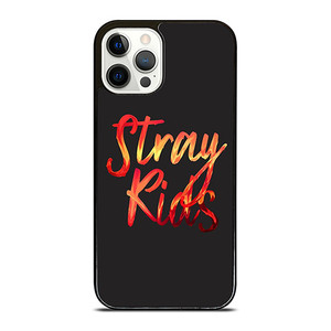 STRAY KIDS BOY BAND TYPE iPhone 12 Pro Case Cover