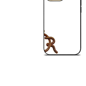 DIOR METAL LOGO iPhone 14 Pro Max Case Cover