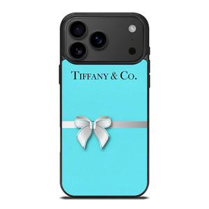 TIFFANY AND CO BAND 2 iPhone 17 Pro Max Case Cover