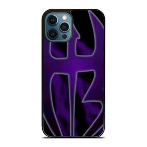 THE HARDY BOYZ LOGO  iPhone 12 Pro Max Case Cover