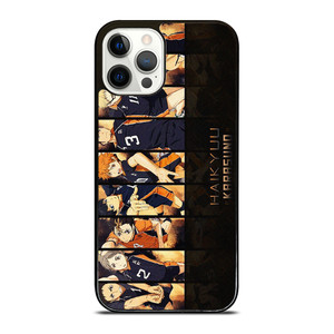 HAIKYUU KARASUNO VOLLEYBALL TEAM iPhone 12 Pro Case Cover