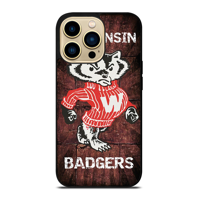 WISCONSIN BADGERS RUSTY SYMBOL iPhone 14 Pro Max Case Cover