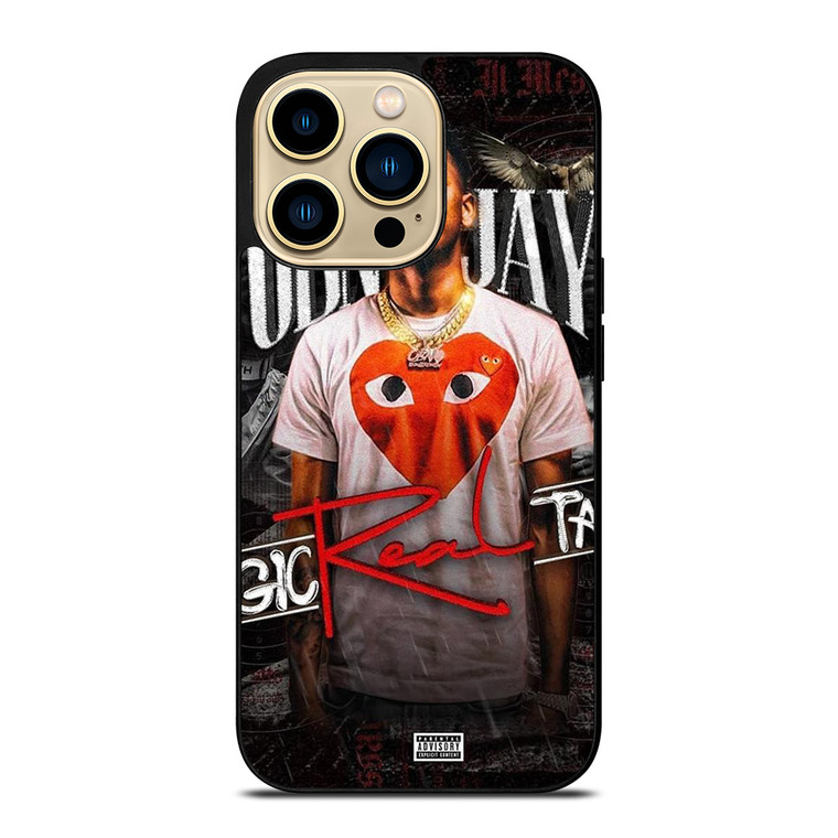 OBN JAY RAPPER  iPhone 14 Pro Max Case Cover