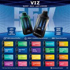 LOST MARY VIZ - 55K PUFFS - 5% NIC - 5CT DISPLAY