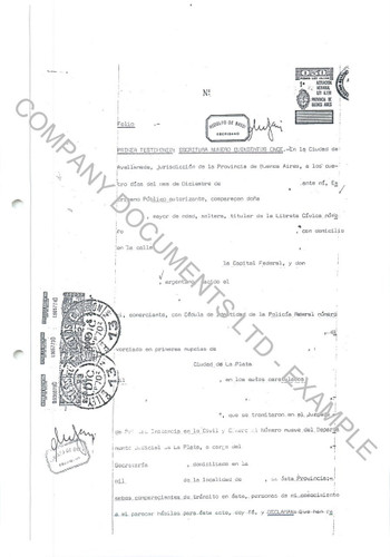 ARGENTINA COPY REGISTRY DOCUMENTS