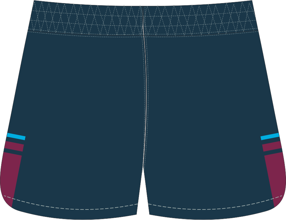HSH - Apex Pro Shorts (OS70252C)
