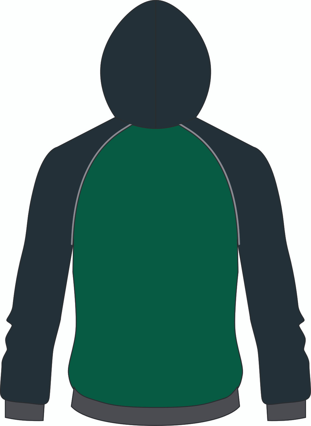 SWSHS - Ace Hoodie (OS41470C)