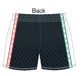 OS-3T- 3P Multipurpose Shorts Palestine (OS67552)