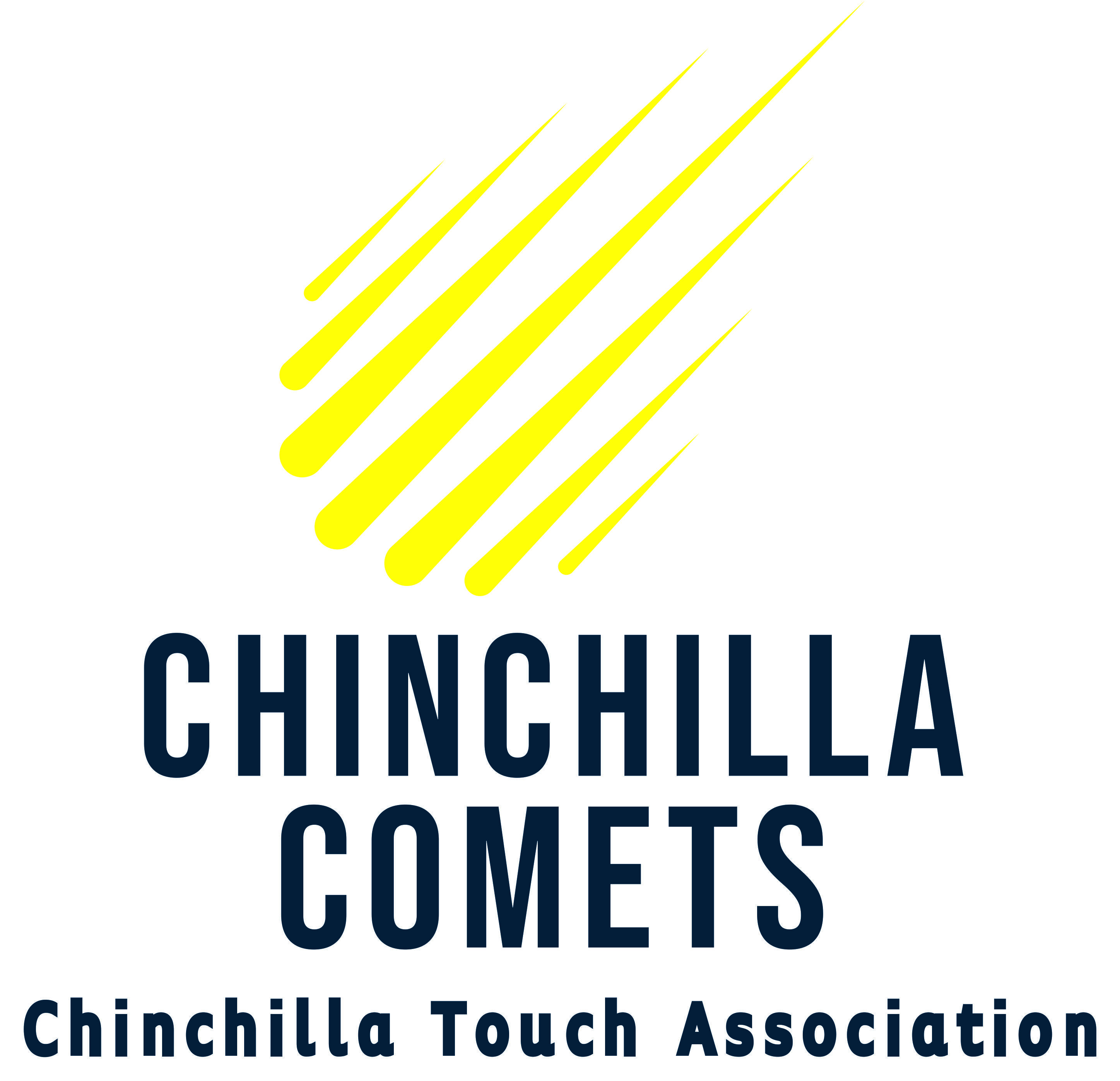 Chinchilla Touch Association