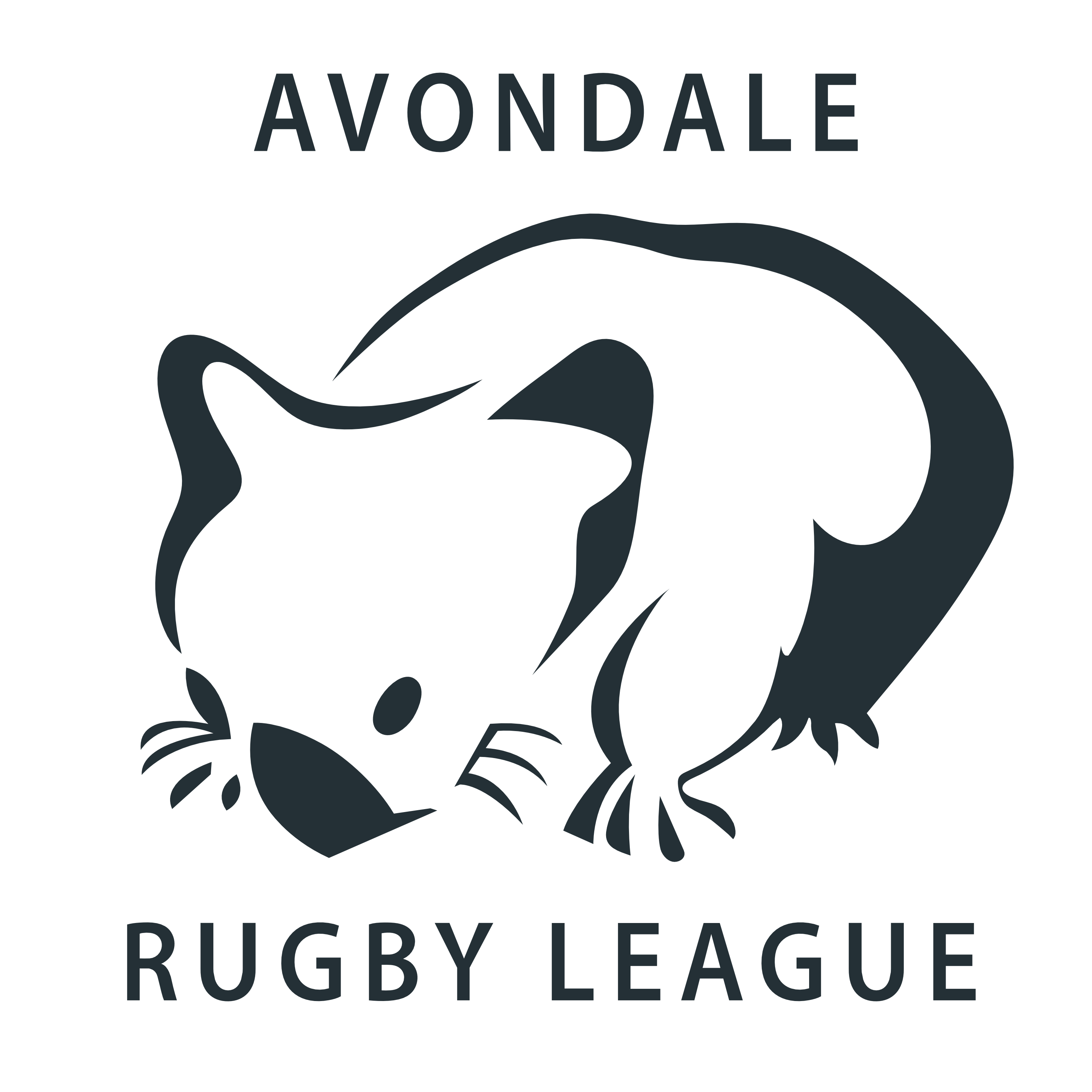 Avondale Rugby League