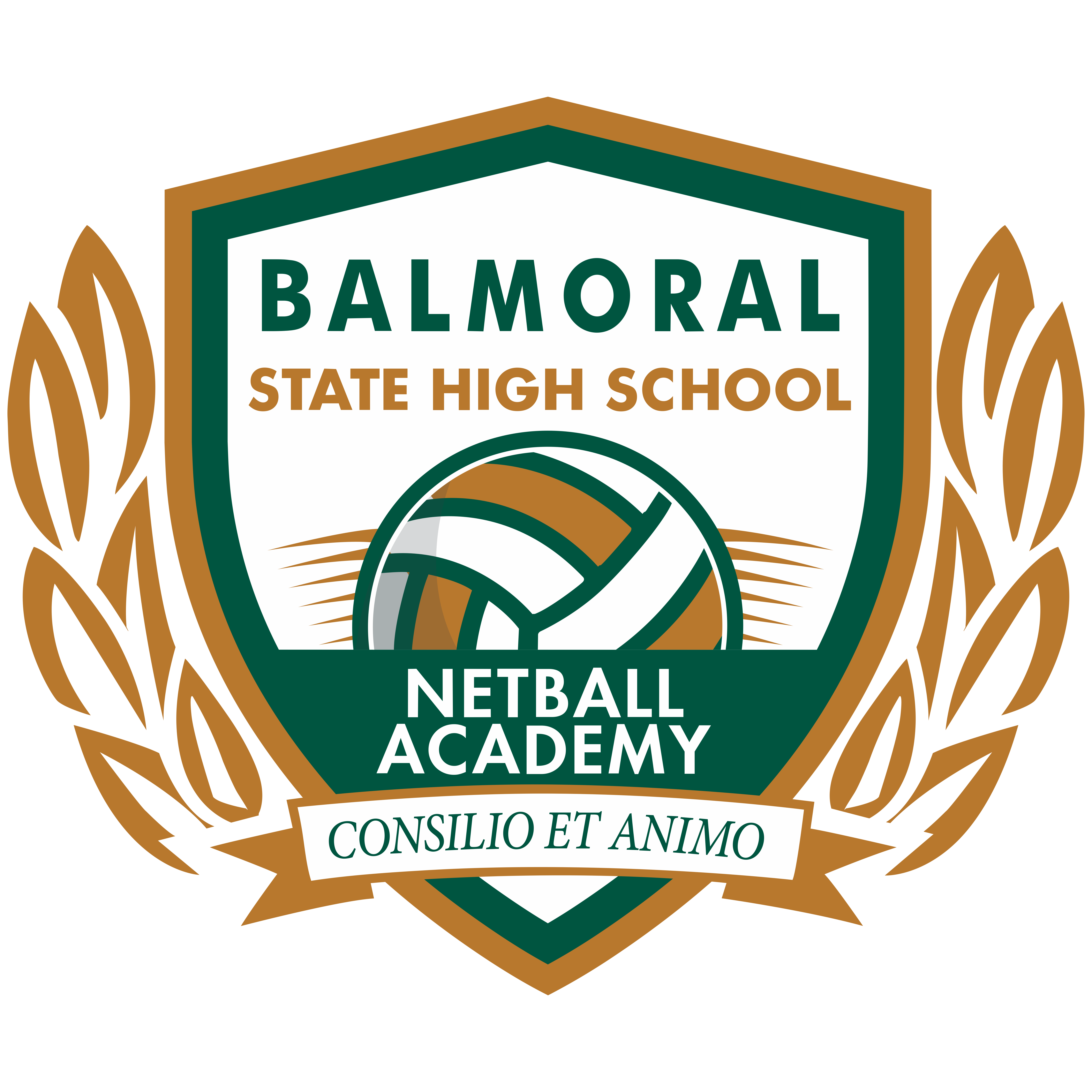Balmoral SHS - Netball Academy