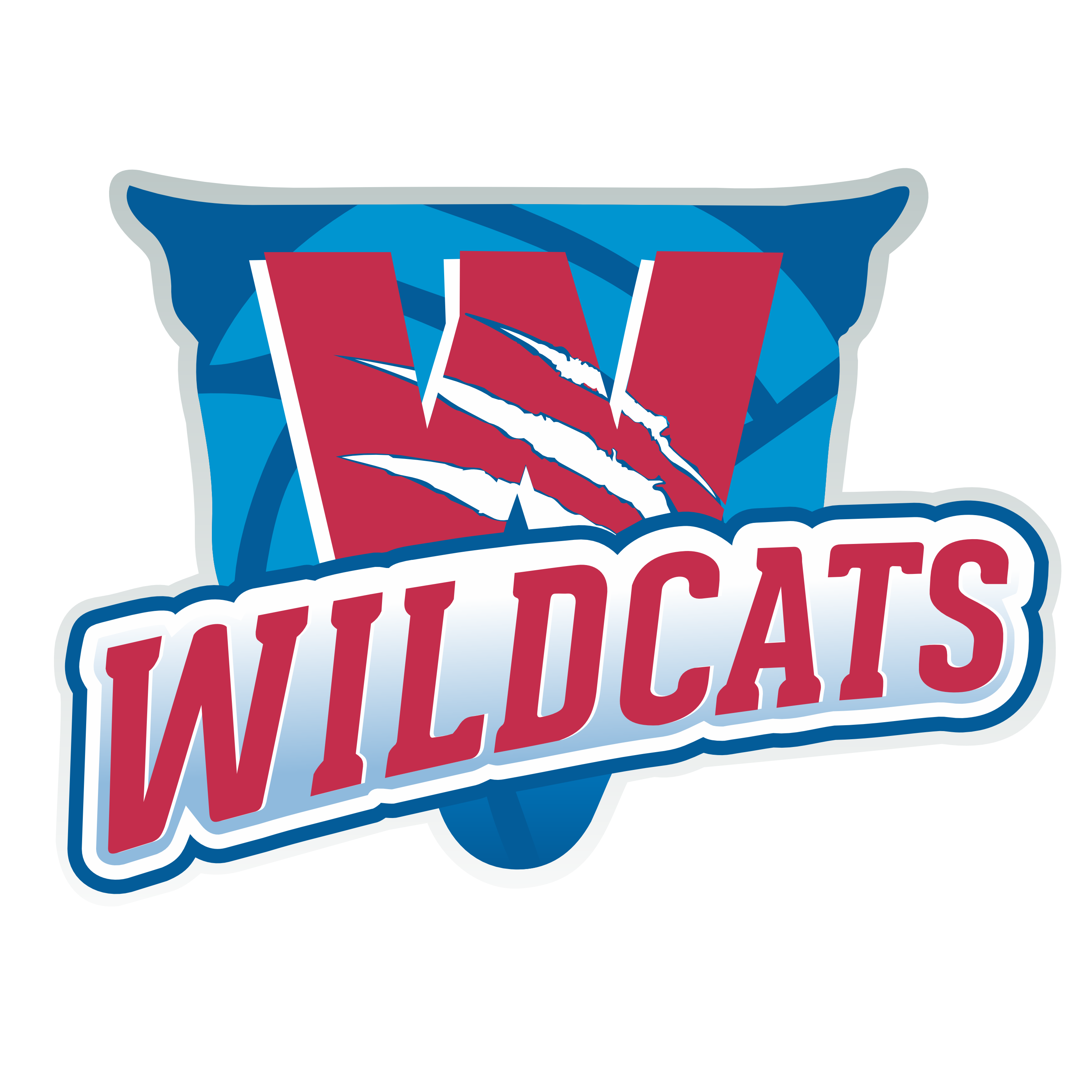 Brisbane South Wildcats 