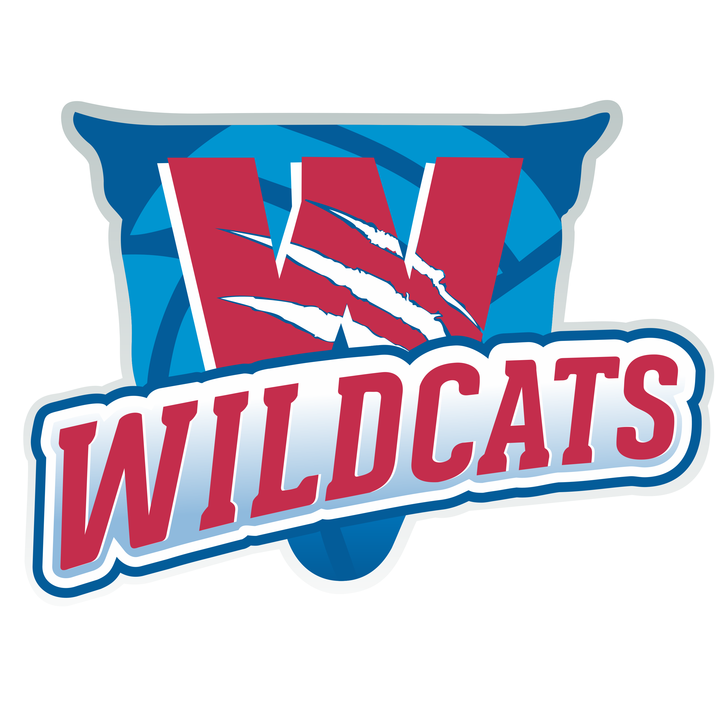 Brisbane South Wildcats