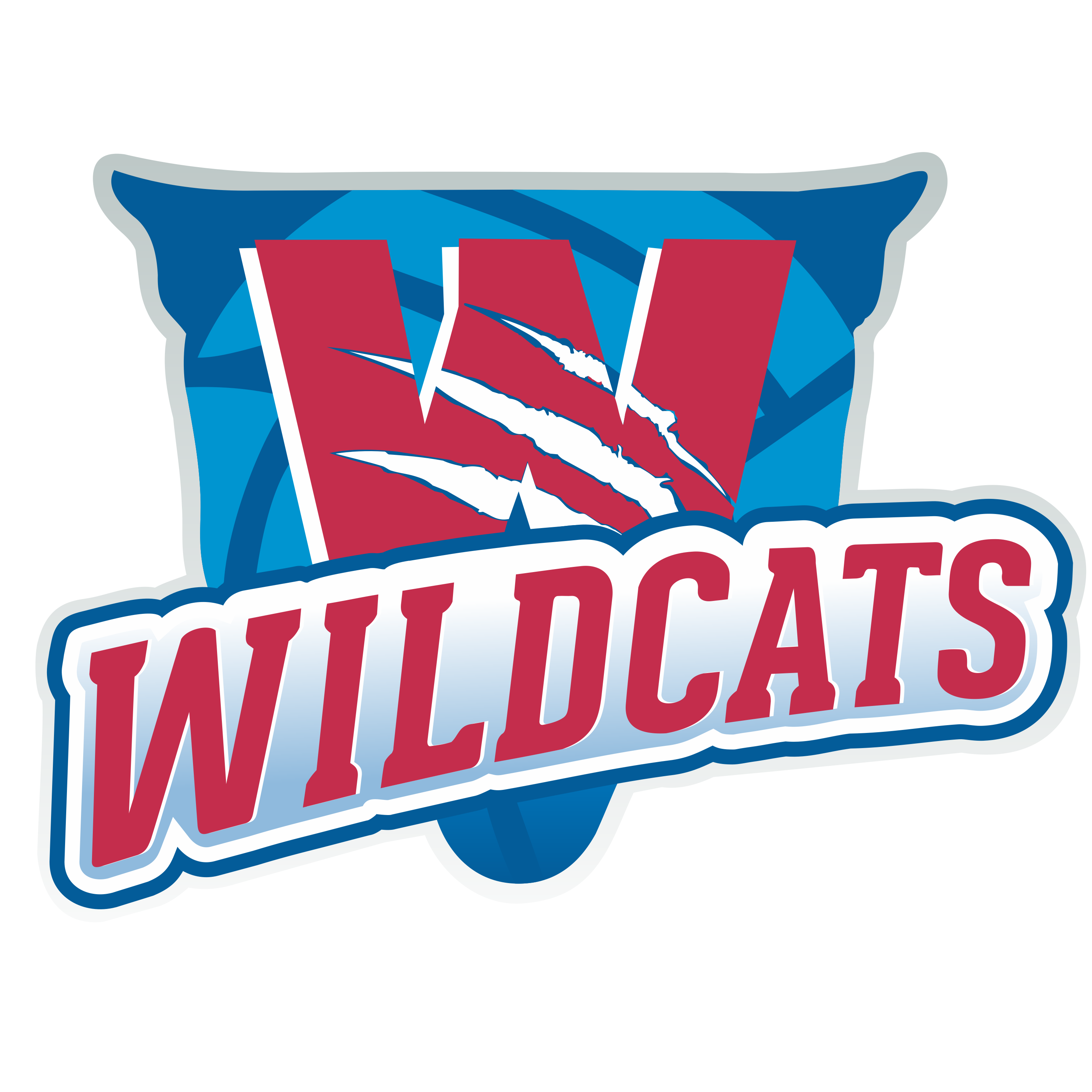 Brisbane South Wildcats (State titles Merch)