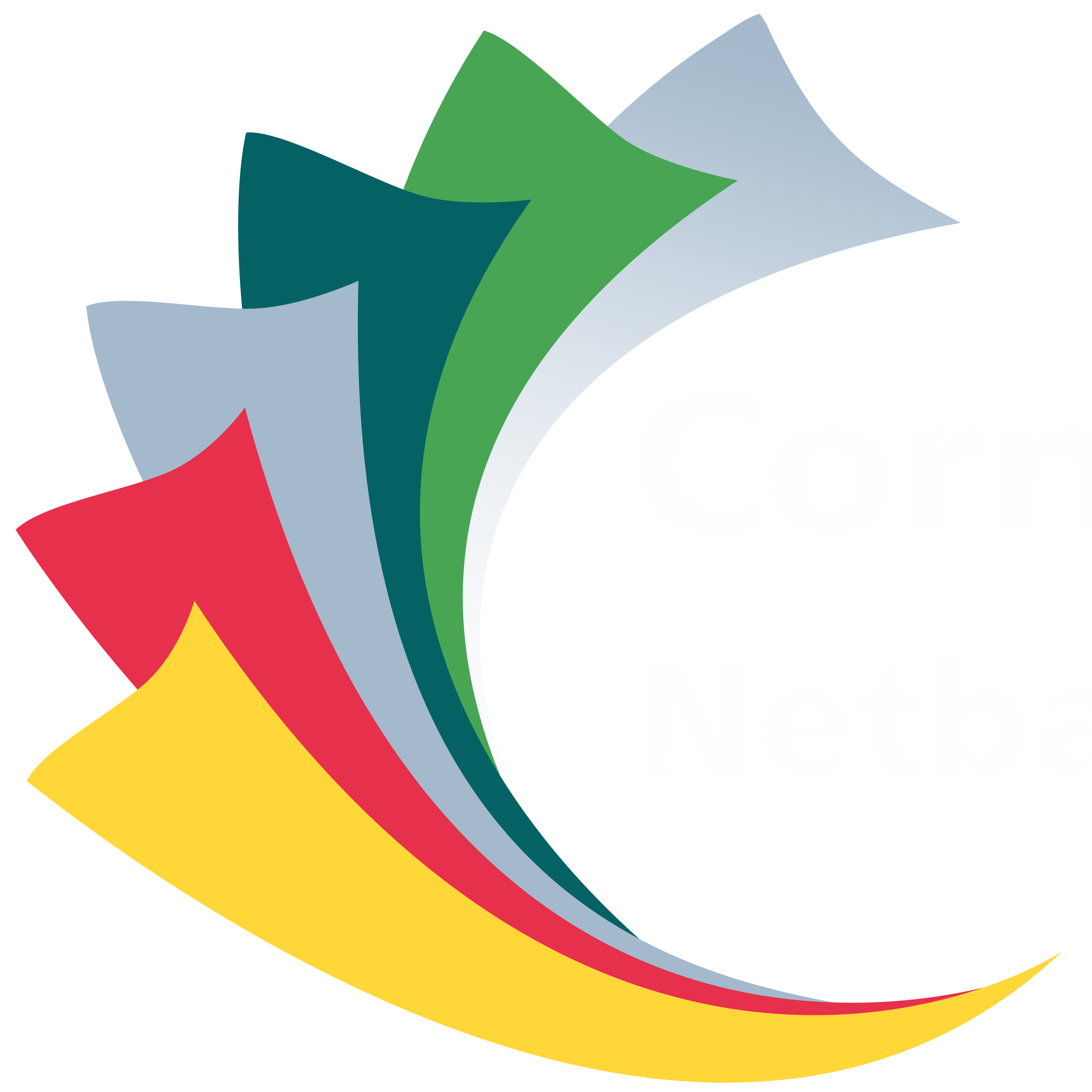 Cornubia Park Netball Assoc. (M-League)