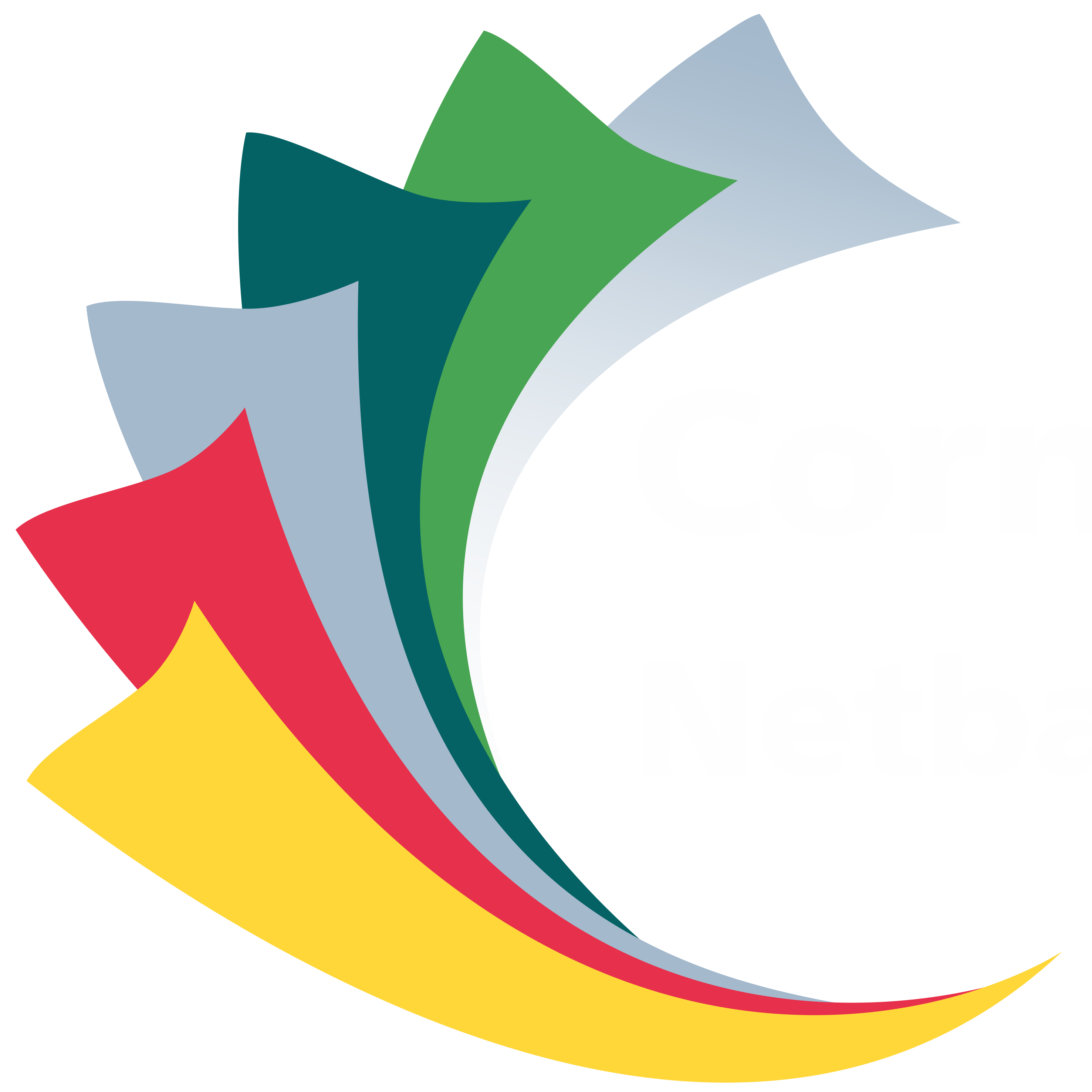 Cornubia Park Netball Assoc. (M-League)