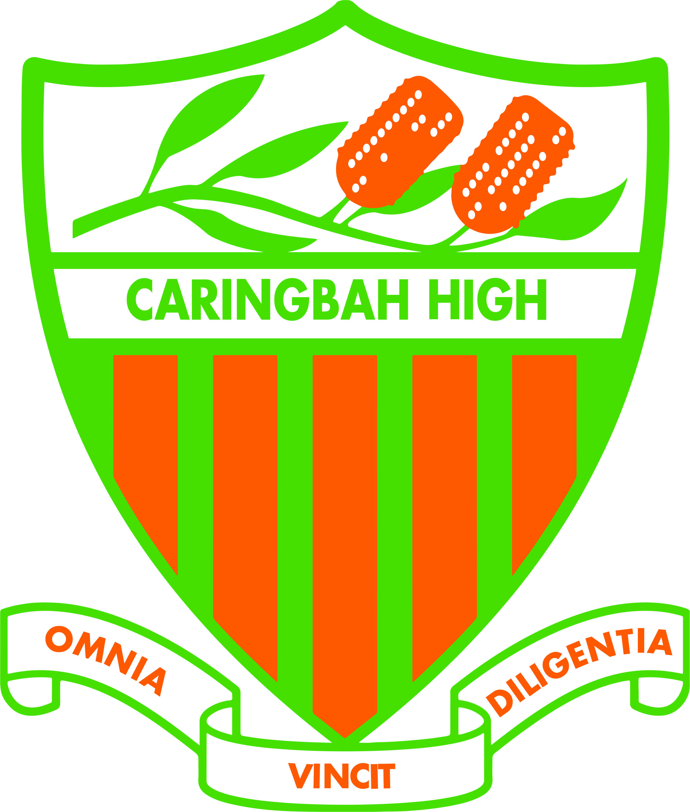 Caringbah High School - Staff