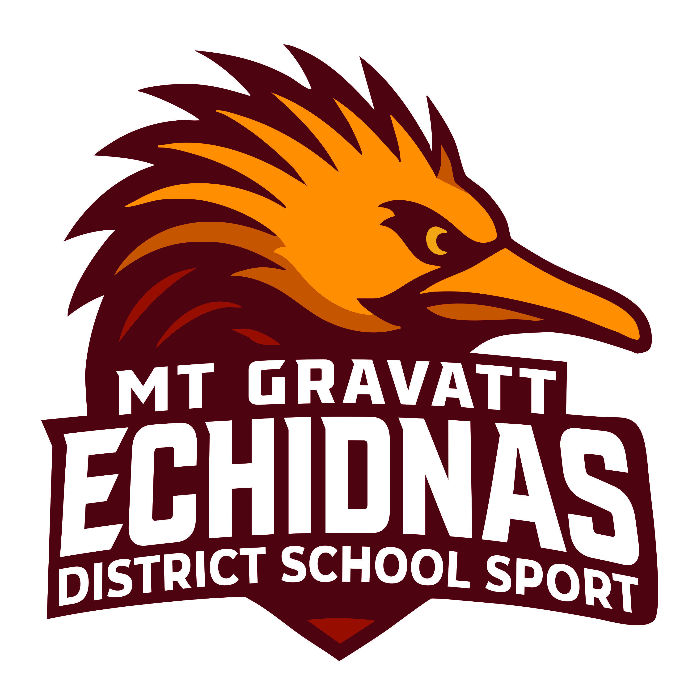 Met East District Mt Gravatt Echidnas
