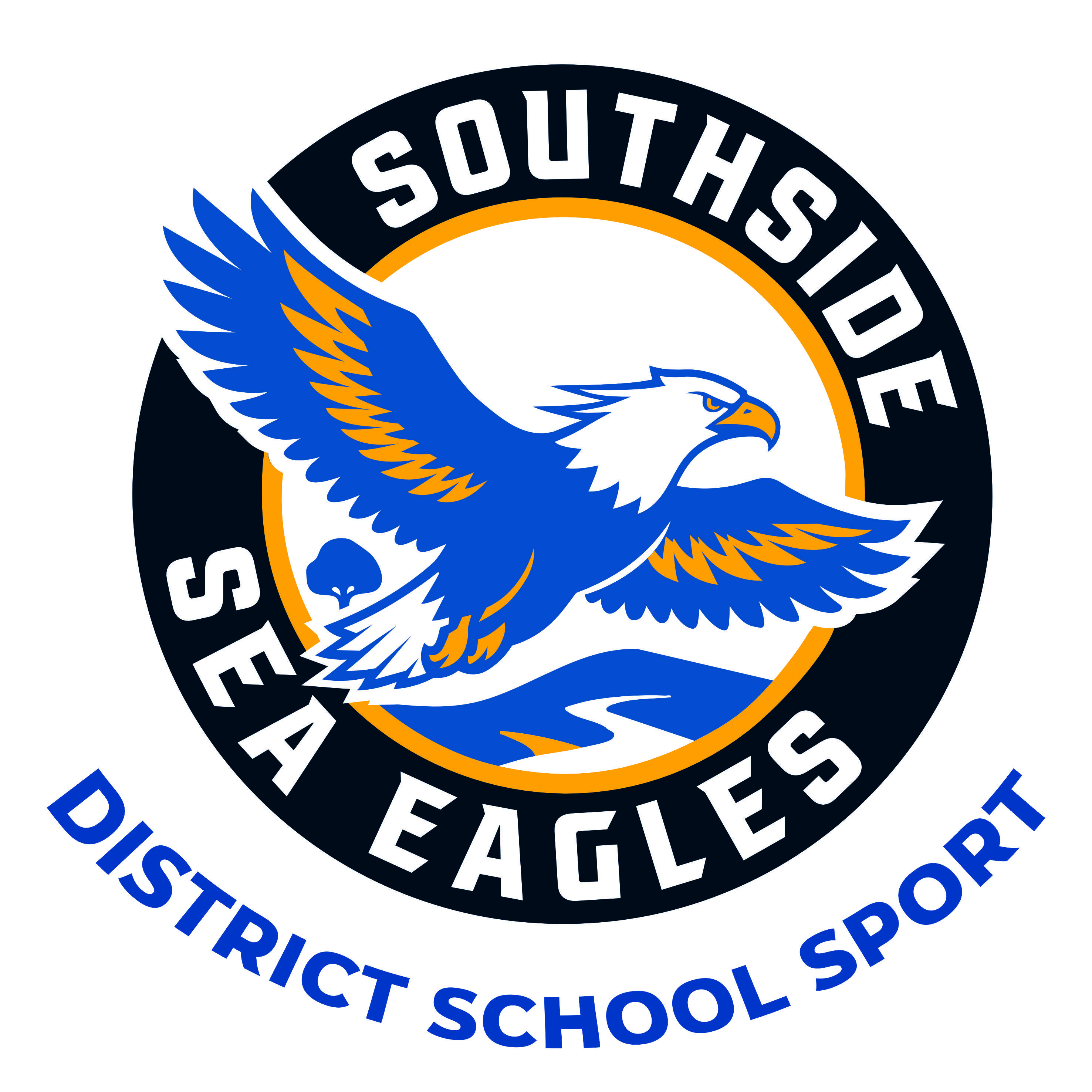 Met East District Southside Sea Eagles