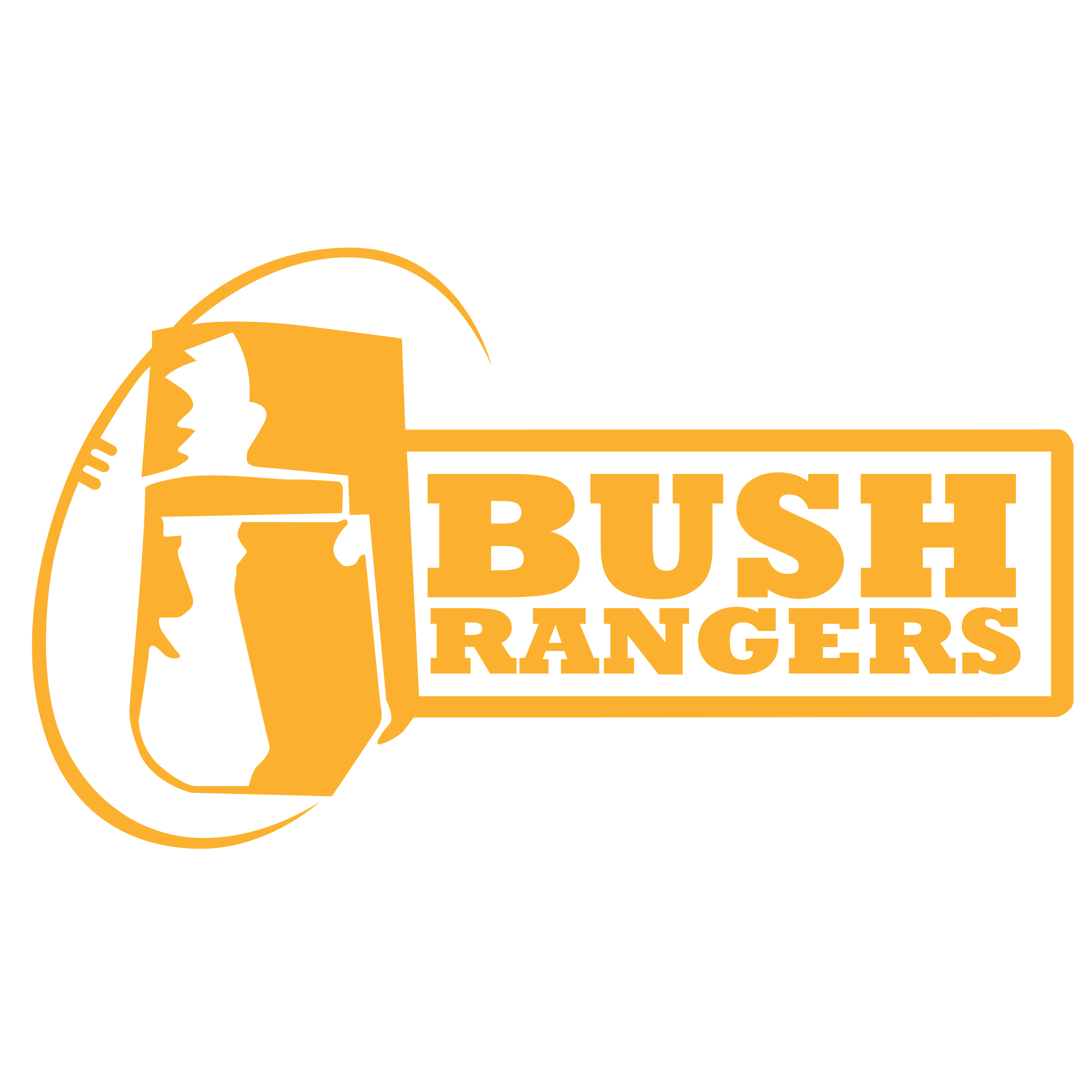 Bushrangers