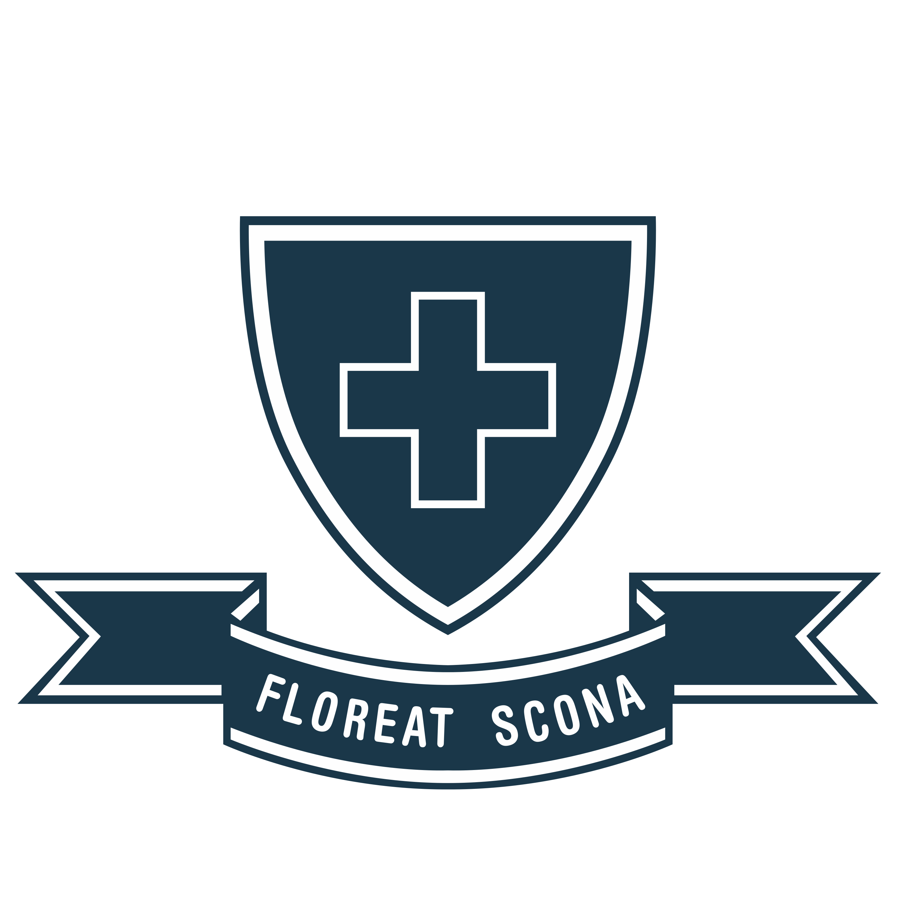 Scone Grammar School