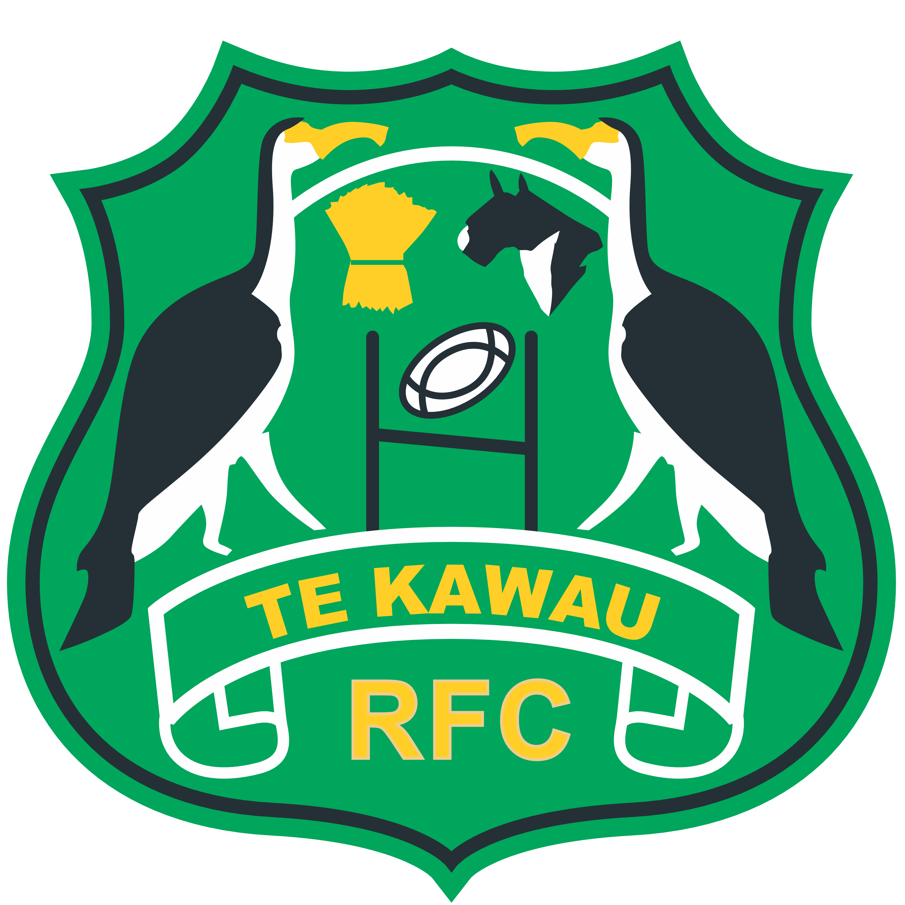 Te Kawau Rugby