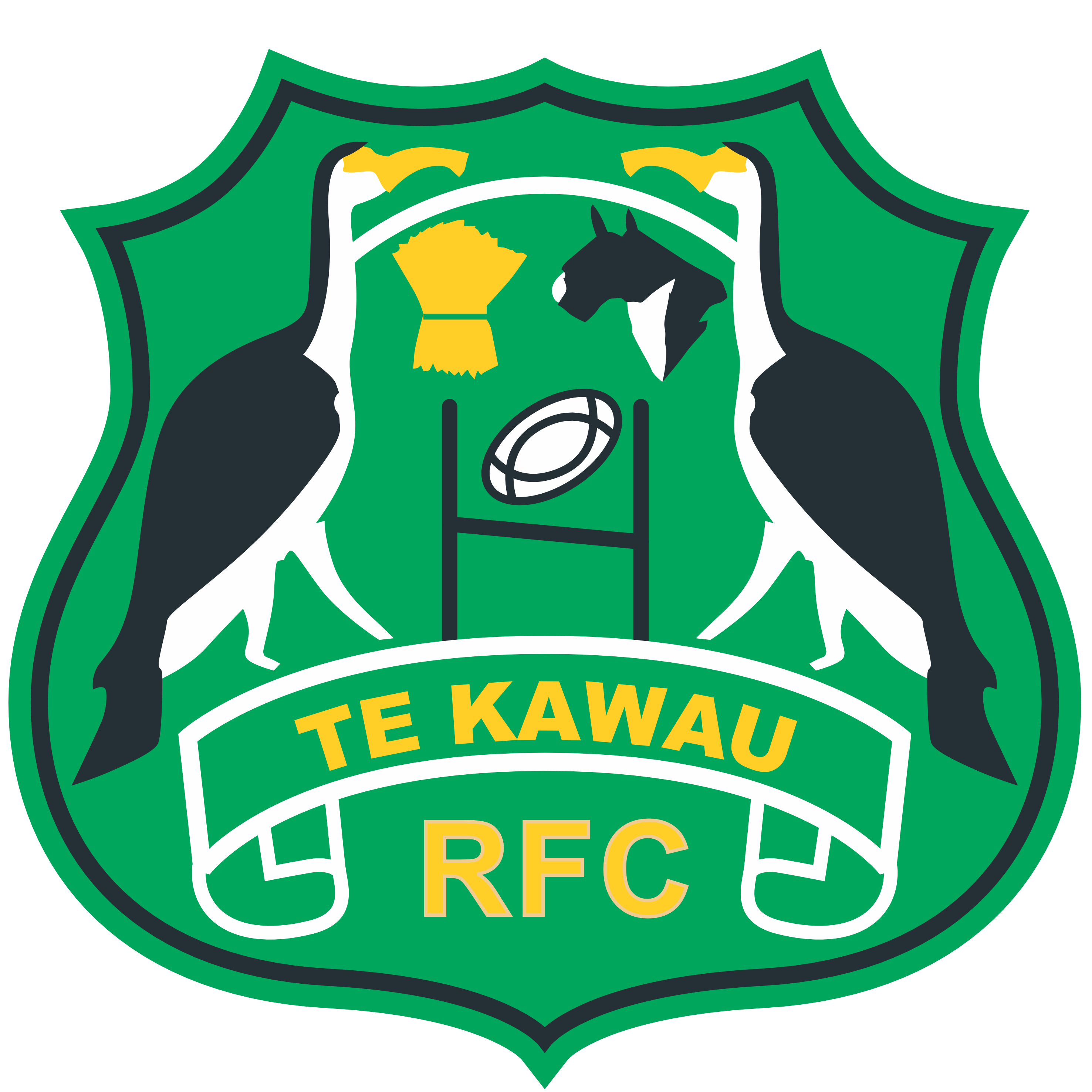 Te Kawau Rugby