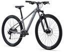 Liv Tempt 29" 2 Liquid Metal MTB Bike S