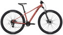 Liv Tempt 4 Terra Roza MTB Bike