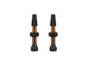 WTB TCS Presta Valve Set Orange 34mm
