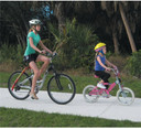 Trail Gator Bicycle Tow Bar Black