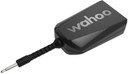 Wahoo KICKR Direct Connect Module