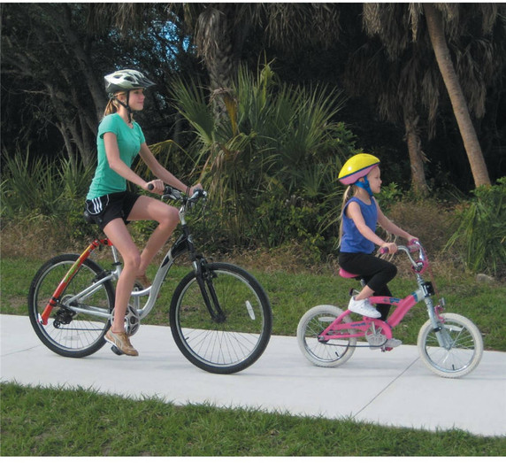 Trail Gator Bicycle Tow Bar Black